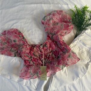 Joie Pink Floral Sheer Blouse